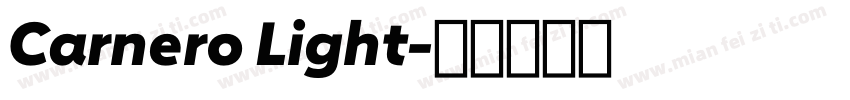 Carnero Light字体转换